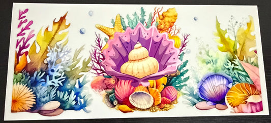 SEASHELL CUP WRAP
